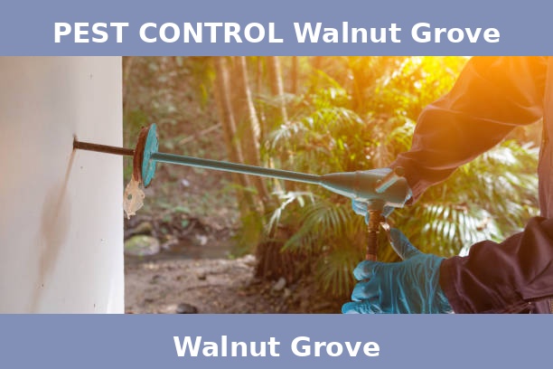 PEST CONTROL Walnut Grove